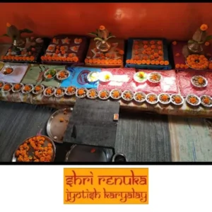 Vishti Bhadra Shanti