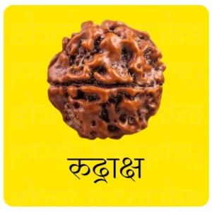 Rudraksh